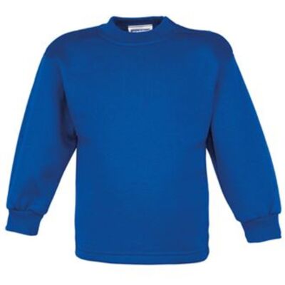 Coloursure™ preschool sweatshirt Thumbnail