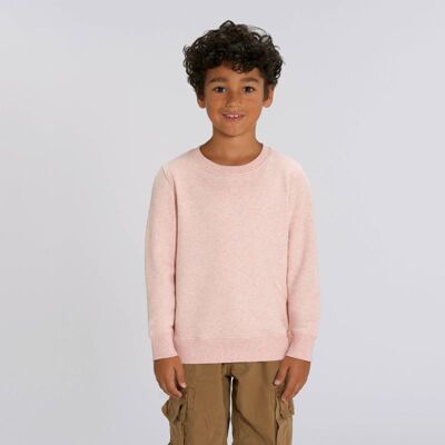 Kids mini Changer iconic crew neck sweatshirt (STSK913) Thumbnail